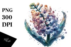 Hyacinth Watercolor Splash Product Image 3