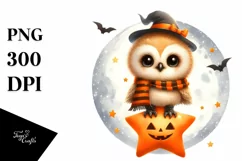 Digital Painting Owl on a Star PNG Product Image 3