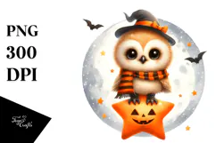 Digital Painting Owl on a Star PNG Product Image 1