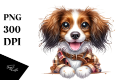 Cute Collie, PNG Product Image 1
