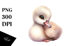 Baby Swan PNG Product Image 1