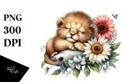 Sleeping Baby Lion on Flower PNG Product Image 1