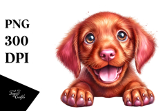 Happy Baby Vizsla PNG Product Image 1