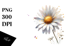 Daisy Watercolor, PNG Product Image 1