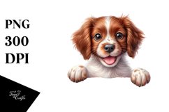 Crazy Looking Baby Brittany | Sublimation | Clipart Product Image 1