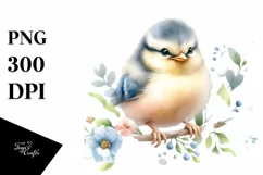 Cute Baby Bird Watercolor PNG Product Image 3