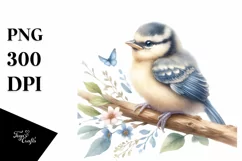 Cute Baby Bird Watercolor PNG Product Image 1
