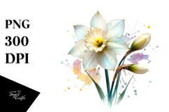 y Daffodil Watercolor PNG Product Image 1