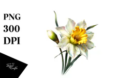 y Daffodil Watercolor PNG Product Image 1