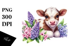 Watercolor Baby Highland Cow with Hyacinth Floral Frame PNG Product Image 1