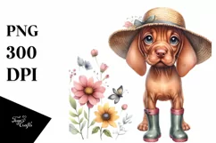 Vizsla Rain Boots Watercolor Baby Clipart Product Image 3
