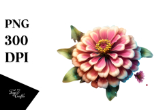 Zinnia Splash PNG Product Image 1