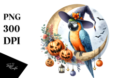 Parrot Dressed for Halloween PNG Product Image 1