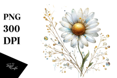 Daisy Watercolor Splash PNG Product Image 1