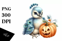 Baby Peacock with Pumpkin, PNG Product Image 1