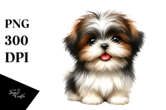 Cute Baby Shih Tzu with Big Eyes PNG Product Image 1