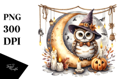 Owl In Halloween Costume PNG Product Image 1