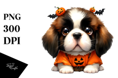 Expressive Baby Saint Bernard for Halloween PNG Product Image 1