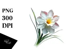 Daffodil with Watercolor Splash, Transparent PNG Product Image 1
