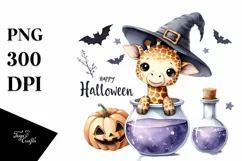 Baby Zebra Popping Out of Witch Potion Product Image 3