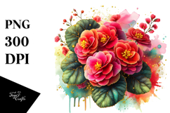 Vibrant Begonia PNG Product Image 1