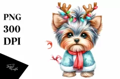 Yorkshire Terrier in Winter, High-Res PNG Product Image 3