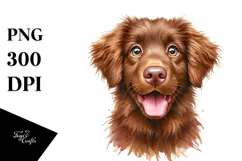 Cute Chesapeake Bay Retriever Watercolor PNG Product Image 1