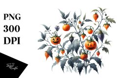 Sublimation|Clipart Product Image 3