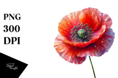 Poppy PNG Product Image 1
