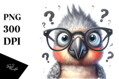 Confused Baby Parrot | Portrait Clipart Product Image 1