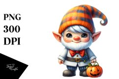 Baby Gnome Product Image 3