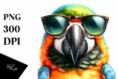 Funny Macaw Portrait | Watercolor Clipart Product Image 3
