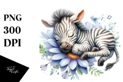Whimsical Baby Zebra Sleeping on Flower PNG Product Image 1