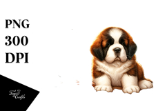 Saint Bernard on Beach | Cute Surf Sunset Product Image 1