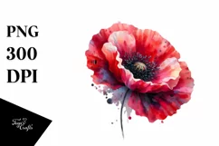 Colorful Poppy, Watercolor Splash |Clipart Product Image 1