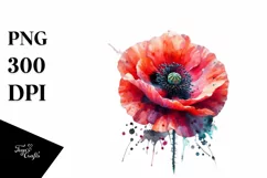 Colorful Poppy, Watercolor Splash |Clipart Product Image 1