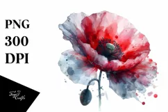 Colorful Poppy, Watercolor Splash |Clipart Product Image 1