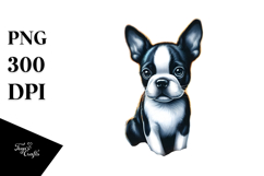 Boston Terrier on Beach | Cute Ball Sunset Product Image 1