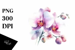 Vibrant Orchid Watercolor PNG Product Image 3
