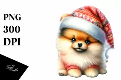 Pomeranian in Winter, Transparent PNG Product Image 3