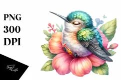 Cute Baby Hummingbird Flower Clipart Product Image 3