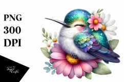 Cute Baby Hummingbird Clipart Product Image 3