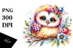 Baby Owl Clipart Product Image 3