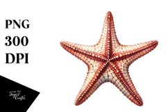 Sublimation|Clipart Product Image 3