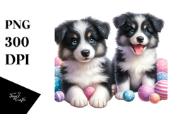 Cute Happy Baby Border Collie with Big Eyes PNG Product Image 1