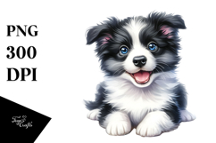 Cute Baby Border Collie, High-Quality PNG Product Image 1