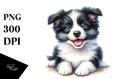 Happy Baby Border Collie PNG Product Image 1