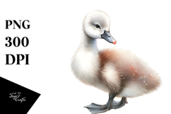 Digital Watercolor with Cute Baby Swan PNG Product Image 1