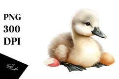 Colorful Baby Swan PNG Product Image 1