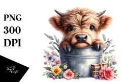 Cute Baby Highland Cow in Bucket PNG Product Image 1